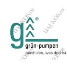 Gruen Pumpen